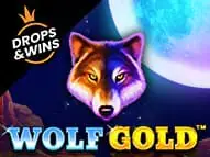 Wolf Gold Казино Игра 🏆 1winzerkalo.org.ua